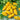 Pepper, Hot - Habanero Sweet Yellow