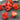 Pepper, Hot - Jamaican Hot Red