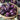 Pepper, Sweet - Lilac Bell