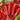 Pepper, Sweet - Mama Mia Rosso F1
