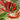 Pepper, Sweet - Jimmy Nardello Sweet