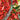 Pepper, Sweet - Pepperoncini Italian
