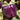 Pepper, Sweet - Purple Beauty
