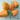 Pepper, Sweet - Riesling F1