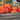 Pumpkin - Cinderella