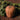 Pumpkin - Dickinson