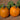 Pumpkin - Early Harvest F1