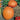 Pumpkin - First Prize F1
