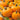 Pumpkin - Hobgoblin F1
