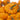 Pumpkin - Jack Be Little