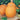 Pumpkin - Jack O'Lantern