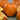 Pumpkin - Young's Beauty