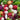 Radish - Fiesta Blend