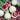 Radish - Watermelon