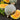 Squash, Winter - Hubbard Baby Blue