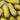 Squash, Winter - Delicata Bush