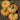 Pumpkin - Hooligan F1 PMT