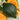 Squash, Winter - Hubbard Baby Green