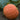 Squash, Winter - Hubbard Essex Red