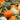 Squash, Winter - Mini Magic F1 Blend