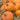 Squash, Winter - Moore Gold