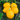 Squash, Winter - Table Gold