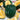 Squash, Winter - Table King Bush