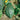 Squash, Winter - Hubbard Green Imp.