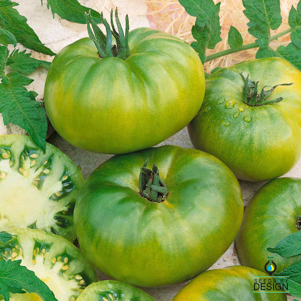 Tomato - Aunt Ruby's German Green – SeedsbyDesign.com