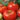 Tomato - Brandywine Red - Potato Leaf
