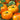 Tomato - Chef's Choice Bi Color F1