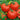 Tomato - Containers Choice Red F1