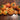 Tomato - Containers Choice Orange F1