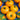 Tomato - Containers Choice Yellow F1