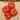 Tomato - Coustralee