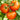 Tomato - Creole
