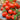 Tomato - Czech Bush