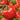 Tomato - Delicious