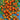 Tomato - Gardener's Delight