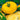 Tomato - Giant Belgium - Yellow