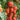 Tomato - Giant Garden Paste F1
