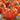 Tomato - Giant Red Beefsteak