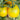 Tomato - Golden Sunburst