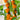 Tomato - Gum Drop Yellow F1