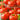 Tomato - Horizon