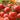Tomato - Indian Curry