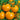 Tomato - Jubilation F1