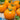 Tomato - Mandarin Cross