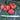 Tomato - New Big Dwarf