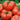 Tomato - One Pound Pink F1